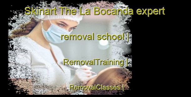 Skinart The La Bocanda expert removal school | RemovalTraining | RemovalClasses | SkinartTraining-Mexico